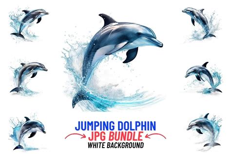 Jumping Dolphin 12  Clipart Bundle Graphic By Digitalcreativeden