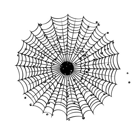 Spider Web Doodle Isolated Outline Hand Drawn Cobweb Vector Halloween