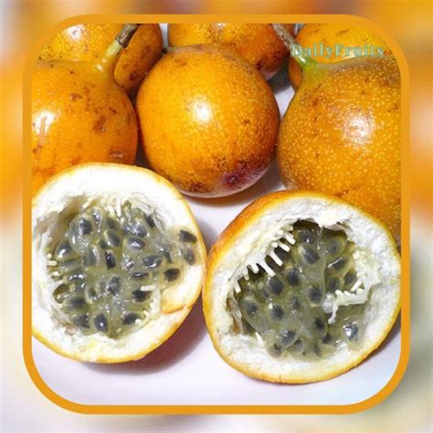 Jual Markisa Super Fresh 1kg | DailyFruits | Shopee Indonesia