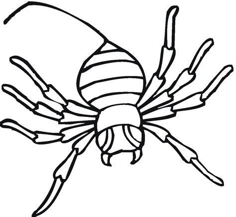 Free Printable Spider Coloring Pages For Kids