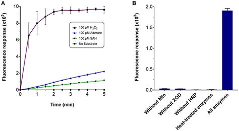 Frontiers Hydrogen Peroxide Based Fluorometric Assay For Real Time