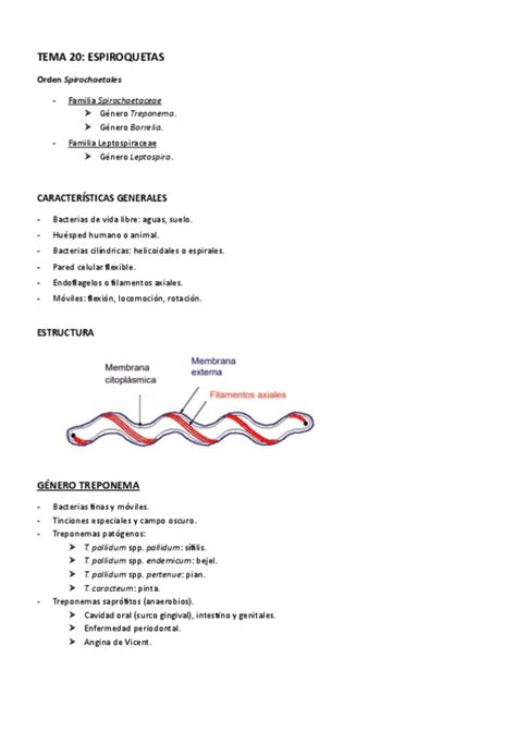 Tema 20 Espiroquetaspdf