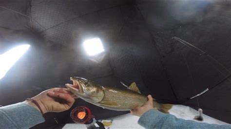 Hard Water Lake Trout YouTube