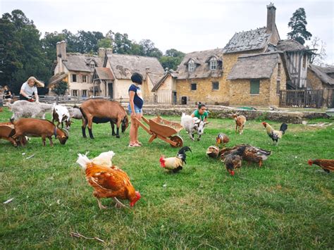 Les 7 plus beaux zoos et parcs animaliers de Vendée