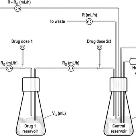 Schematic Hollow Fibre System Diagram Incorporating An Additional Drug