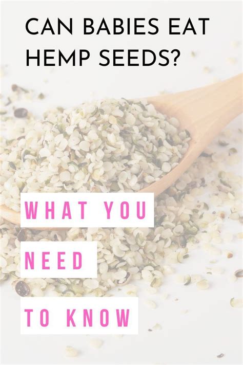 Best Ways To Eat Hemp Seeds With Recipes Nutritional Benefits Artofit