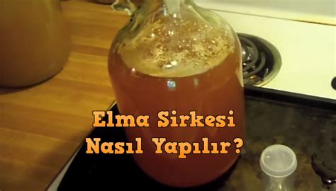 Evde Elma Sirkesi Nasıl Yapılır Yasamloji