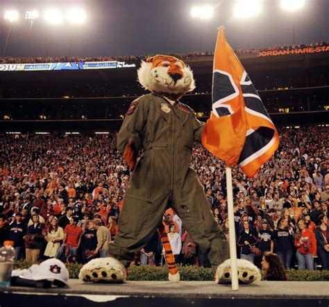 Pin on Aubie Never Stops