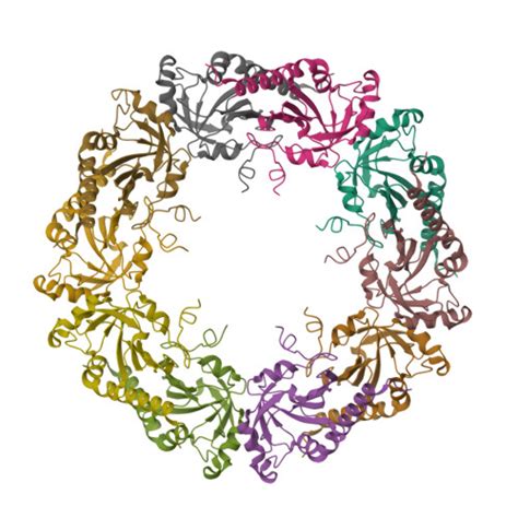 Rcsb Pdb 8ekw Cryo Em Structure Of Human Prdx4