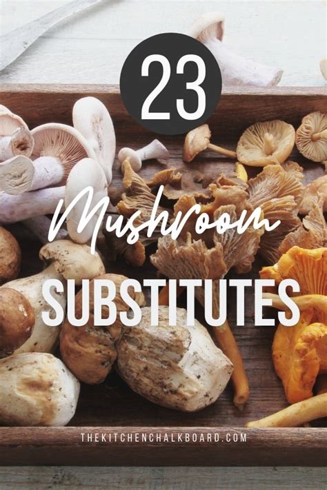 23 Versatile Mushroom Substitutes Sure To Please The Kitchen Chalkboard