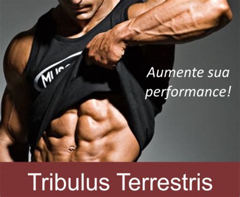 Tribulus Terrestris Para Que Serve Funciona Confira Aqui