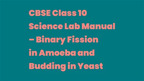 CBSE Class 10 Science Lab Manual Binary Fission In Amoeba And Budding