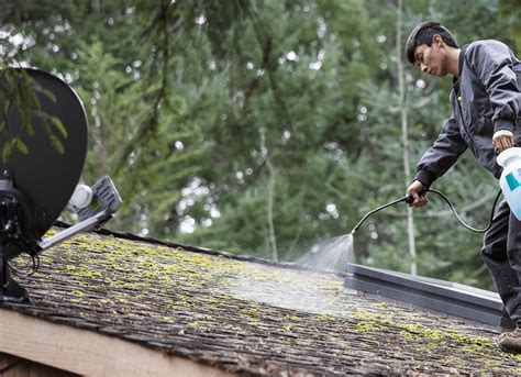 How To Clean Roof Shingles The Right Way