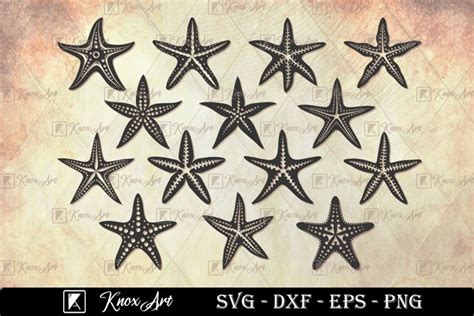 Starfish Silhouette Svg Cut File Bundle Starfish Icon