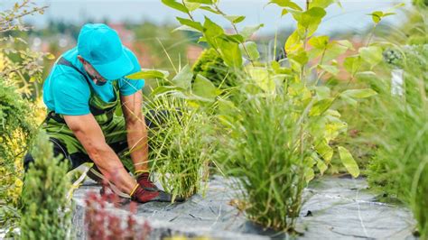 Maintaining A Water Wise Landscape Usu