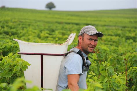 Domaine Claude Riffault European Cellars