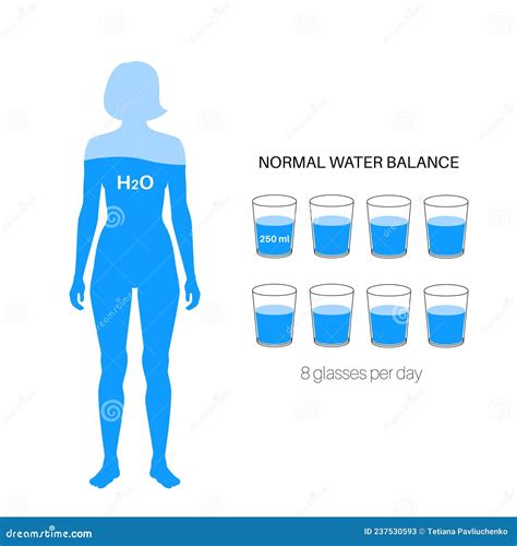 Water body balance stock vector. Illustration of consumption - 237530593