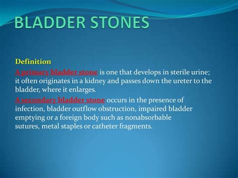 Bladder Stones Fistula Diverticulum Ppt