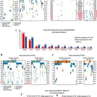 Sex Biased Gene Expression In Luads A The Number Of Degs In Asian And