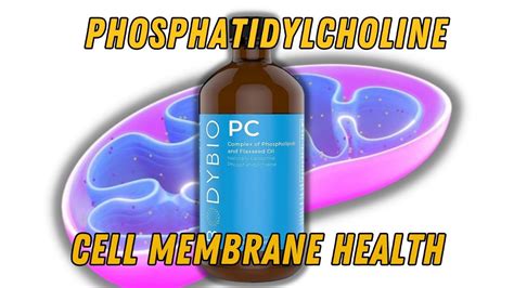 Phosphatidylcholine's Power to Boost Cell Membrane Health | by Dr. Hugh ...