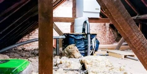 Rodent Attic Clean Up—what You Really Need To Know