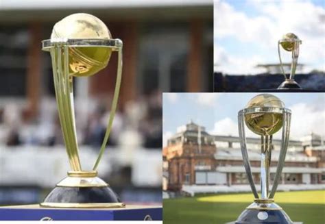 Icc Odi Cricket World Cup Ticket Costs Availability And Websites