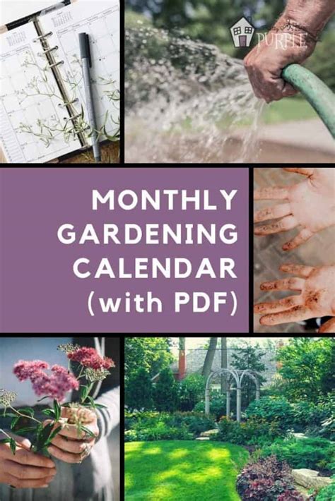 Monthly gardening calendar for busy gardeners (with PDF) | Pretty ...