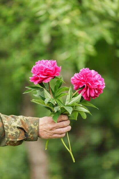 Premium Photo Cropped Hand Holding Pink Flowers