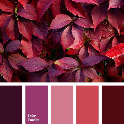 Color Palette #2812 | Color Palette Ideas