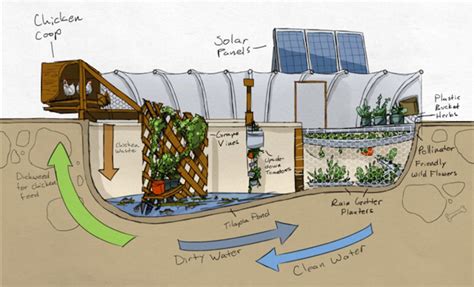 Start An Aquaponic Farming Business Small Business Ideas