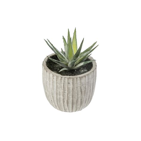 Plante Artificielle Succulente En Pot H 9 Cm à Prix Carrefour