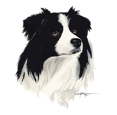 Border Collie Art Print Por El Artista De Acuarela Dj Rogers Etsy