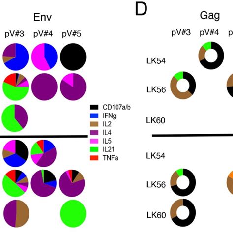 Polyfunctional Cd4 And Cd8 T Cell Response To Vaccine Antigens In