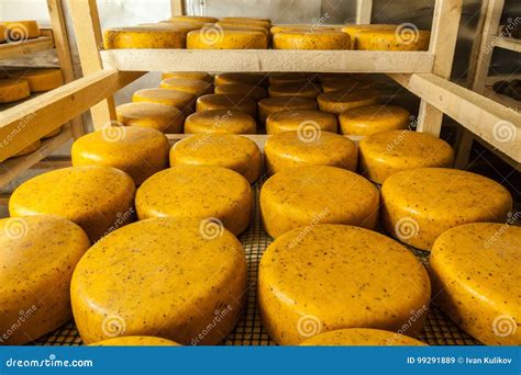 Aging Cheese at Cheese Factory Stock Image - Image of farm, shelves ...