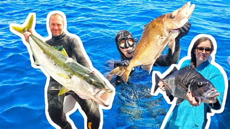 7 Days Boat Camping SPEARFISHING Great Barrier Island New Zealand