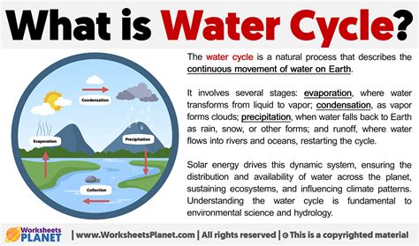 What is the Water Cycle