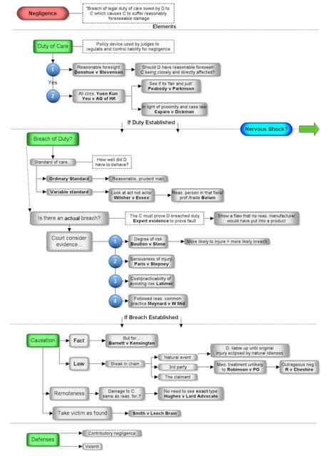 Tort Flow Chart Negligence Pdf