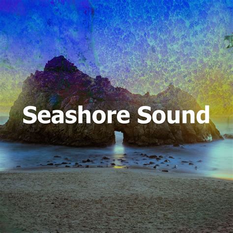 Seashore Sound Album De Seashore Waves Spotify