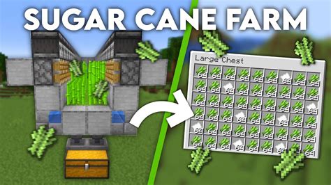 Minecraft Easy Sugar Cane Farm Tutorial Youtube