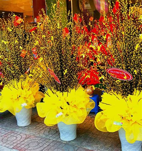 Tet Flowers Vietnam Flowers For Tet Festival Viet Nam