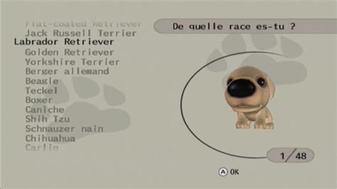 The Dog Island Per Wii Gamestormit