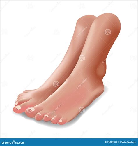 Vector Illustration Of Female Feet On White Background Realistic Stock