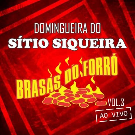 Brasas do Forró Casamento da Raposa Ao Vivo Lyrics Musixmatch