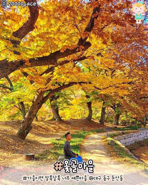 Daegu Top 14 địa điểm Ngắm Mùa Thu đẹp Mê Mẩn 2025 Gokorea