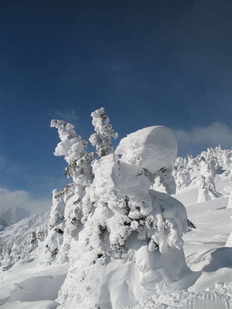 Snow Cat Skiing | Mica Mountain Lodge