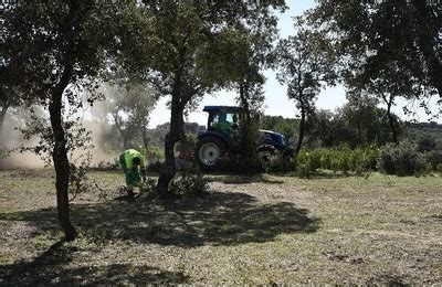 Boadilla In Boadilla Se Prepara Para El Verano