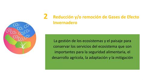 Riesgos Climáticos y Arroz PPT