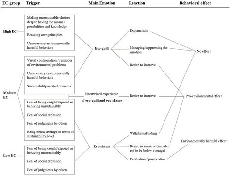 Frontiers Eco Guilt And Eco Shame In Everyday Life An Exploratory