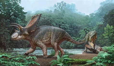 New Ceratopsian Dinosaur Species From New Mexico