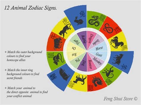 What they do not tell you about your Chinese zodiac animal, allies ...